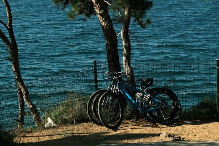 Szlaki rowerowe Dziwnów 2026 – gdzie jechać i czego się spodziewać