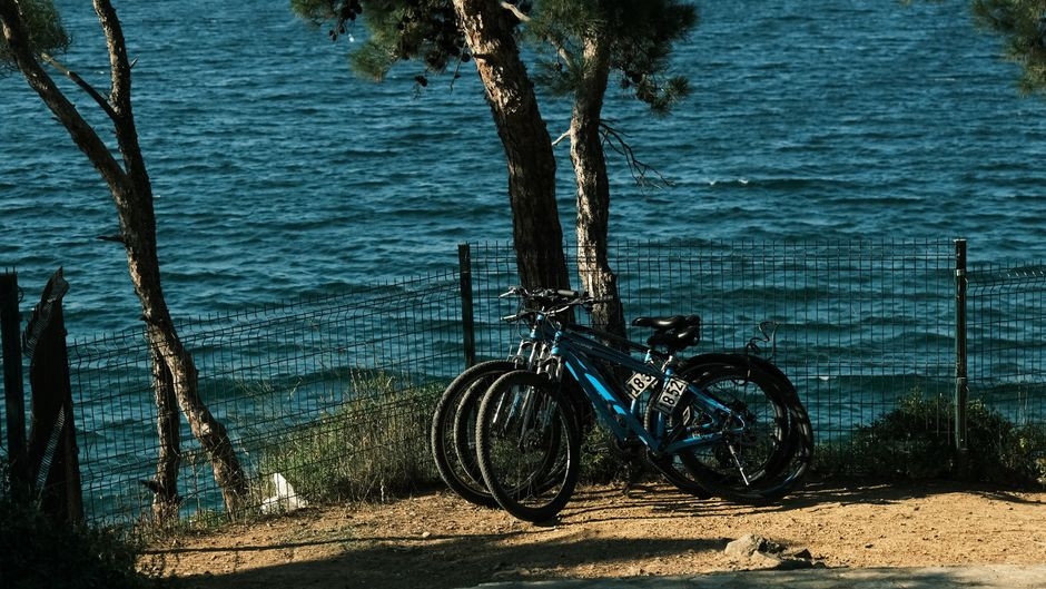 Szlaki rowerowe Dziwnów 2026 – gdzie jechać i czego się spodziewać