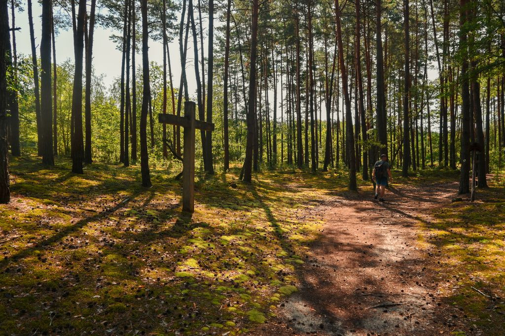 Szlaki turystyczne przez Dziwnówek